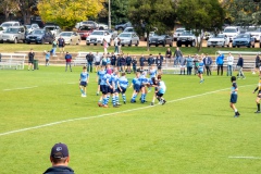 P1020263