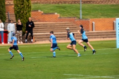 P1020619