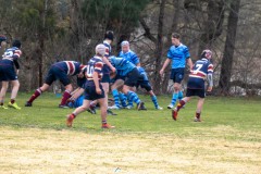 P1040254