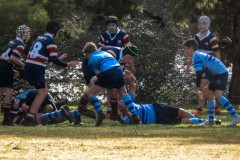P1040273