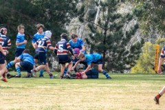 P1040353