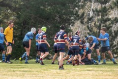 P1040354