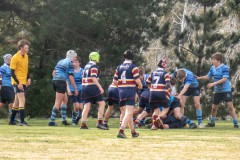 P1040355