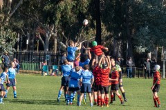 P1030359