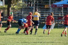 P1030390