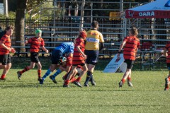 P1030391