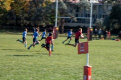 P1030441