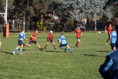 P1030537