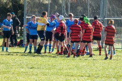 P1030560