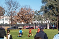 P1030575